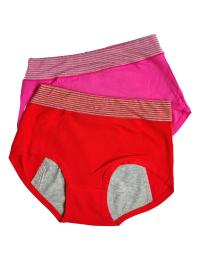 Pack of 2 Lining Period Panties Combo