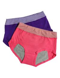 Pack of 2 Lining Period Panties Combo