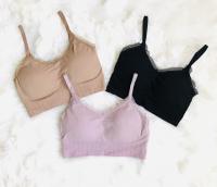 Lace Bordered Padded Bralette