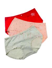 Pack of 3 Paw Print Lace Border Cotton Panties