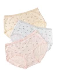 Pack of 3 Lace Bordered Regular Cotton Panty
