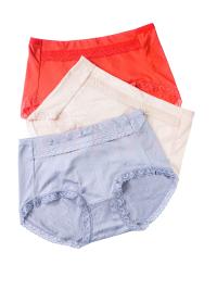 Pack of 3 Lace Bordered Soft Cotton Regular Panty