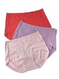 Pack of 3 Soft  Regular Cotton  Panty
