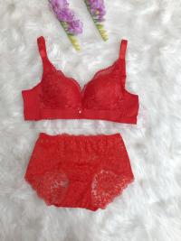 Lace Design Bra and Panty Set
