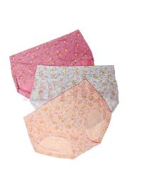Pack of 3 Floral Printed Regular Cotton Panty