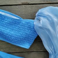 Blue Ruffle Sleeve Two Piece Swimsuit