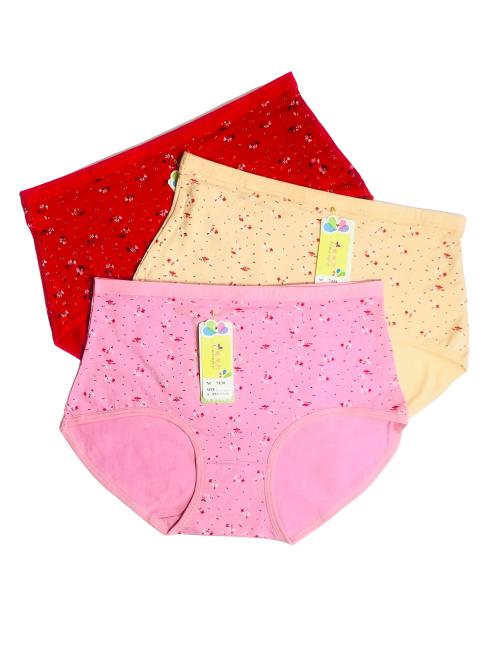 Pack of 3 Floral Cotton Panty Combo 2