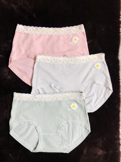Lace Designed Cotton Panties Combo 2