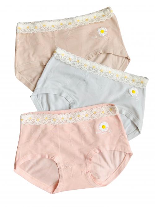 Lace Designed Cotton Panties Combo 1