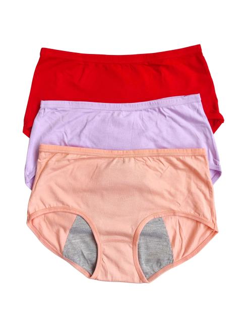 Pack of 3 Period Panties Combo 2