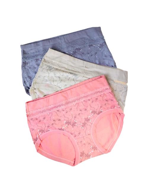 Pack of 3 Leaf and Dot Print Lace Border Mid Waist Panty