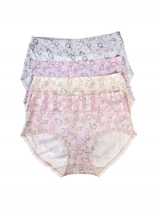Pack of 4 Printed Lace Bordered Panty