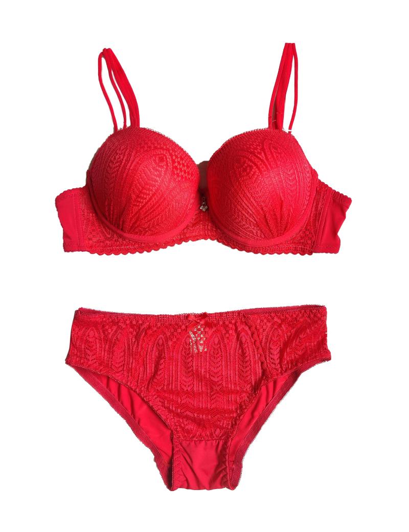 Red Lace Design Bra and Panty Set