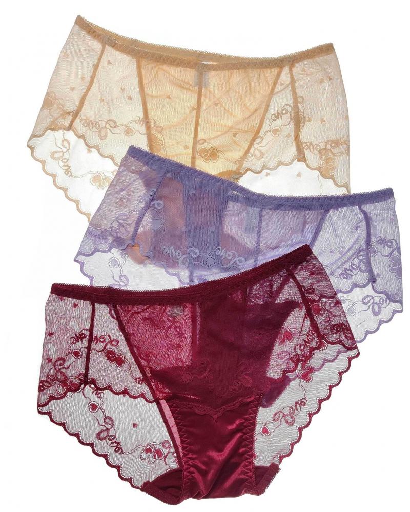 Pack of 3 Sheer Lace Heart Print Panties