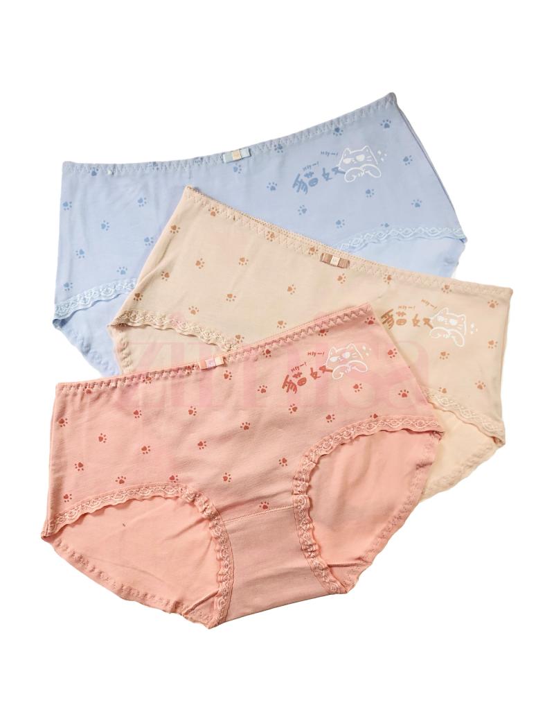 Zimisa, Pack of 3 Floral Cotton Panty Combo 2